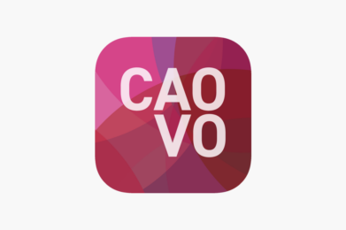 Cursus ´CAO VO - studiedag´